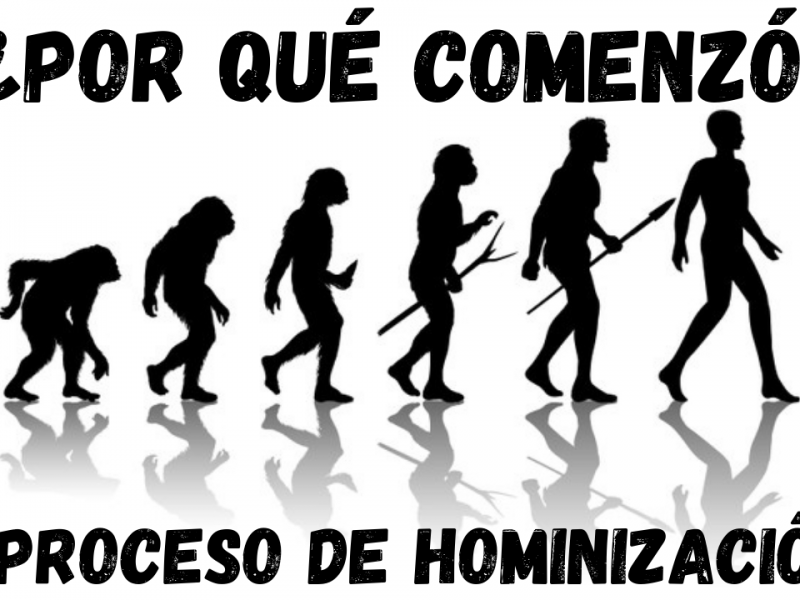 Cómo comenzó el proceso de hominización